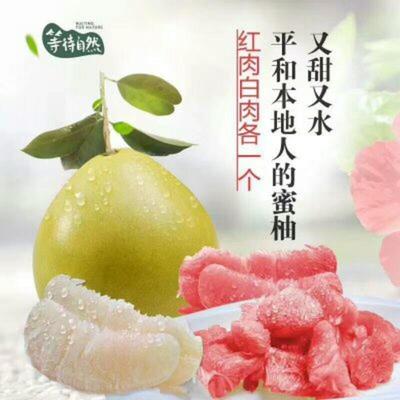湖北宜昌秭歸縣柚子 沙田柚批發(fā)市場探析，0.60元/斤的價格優(yōu)勢與品質(zhì)保障