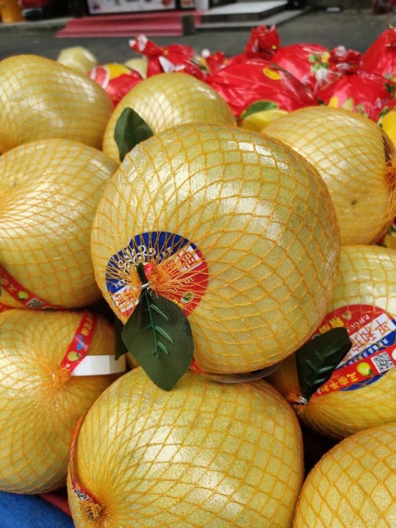 湖北宜昌西陵區(qū)白心蜜柚 產(chǎn)地直供，品質(zhì)優(yōu)價格美